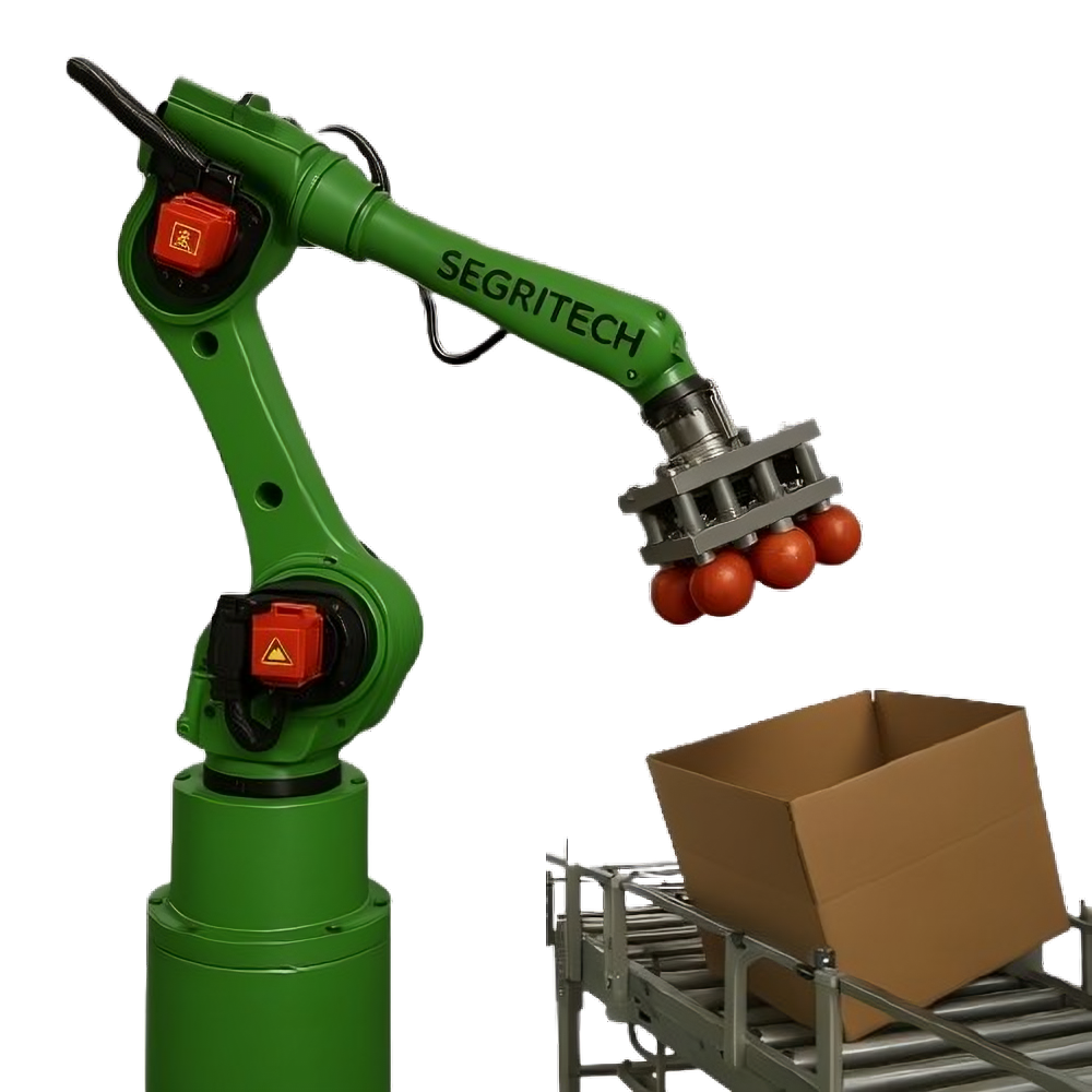 Packing Robots